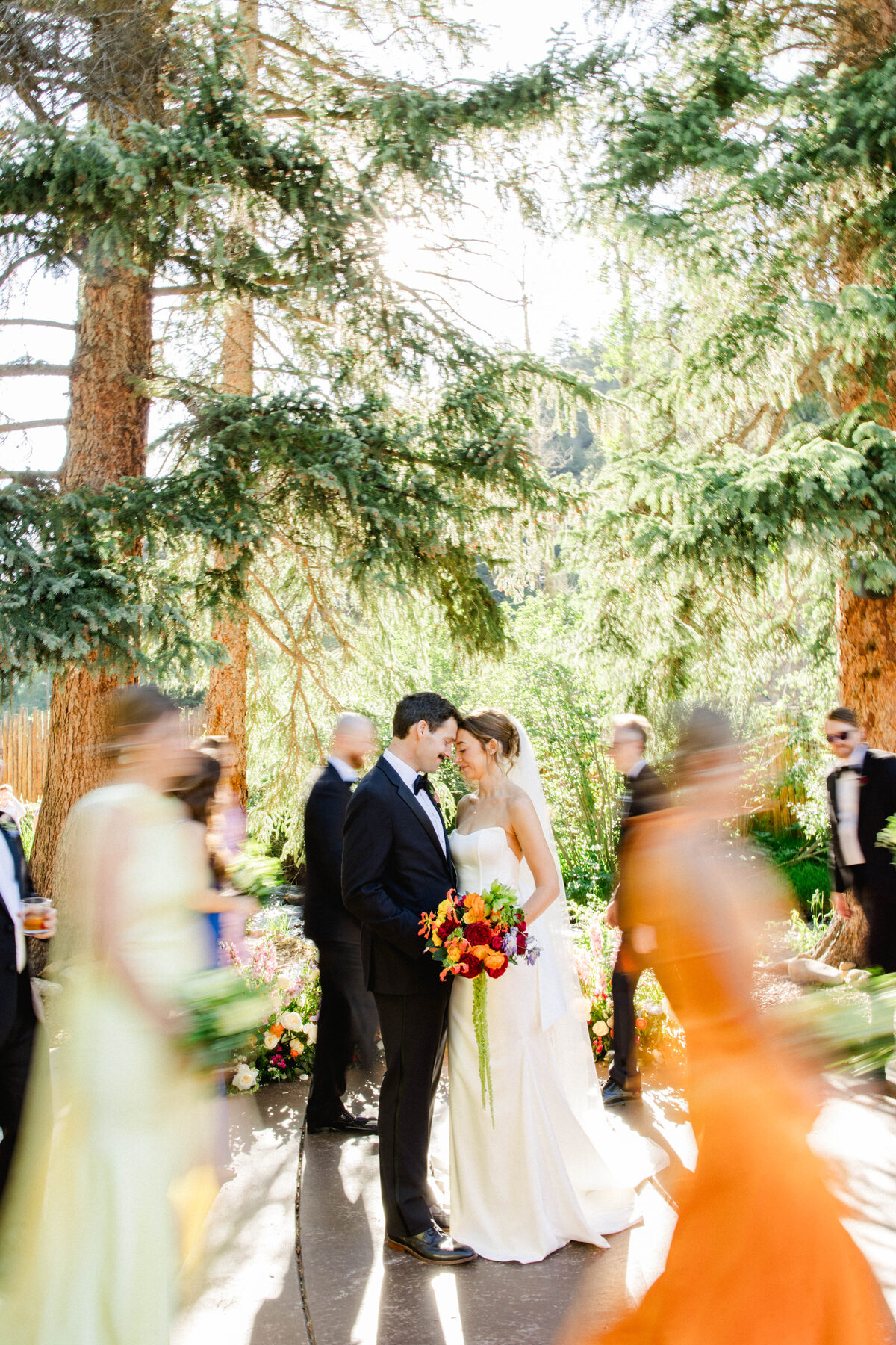 Bride and groom at the altar beneath towering pine trees during a sunlit outdoor destination wedding ceremony — luxury wedding photographer Ailyn La Torre
